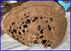 Brutalist Carved Wooden Interpretation Of An Abstract Head Sculpture Art Decor