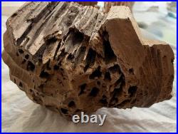 Brutalist Carved Wooden Interpretation Of An Abstract Head Sculpture Art Decor