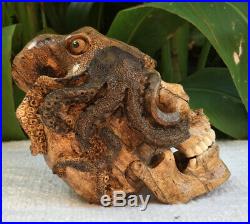 Carved Skull Sculpture Wood Human with Octopus Human Skull Replica Realistic
