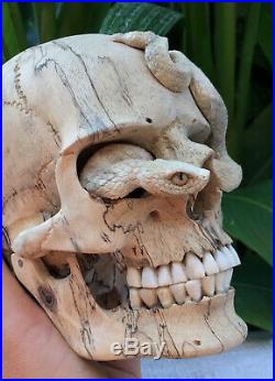 Carved Skull Sculpture Wood Human with snake coming out of the head Realistic