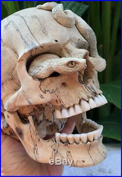 Carved Skull Sculpture Wood Human with snake coming out of the head Realistic