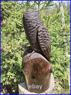 Chainsaw Carved Barn Owl Wood Carving Sculpture Statue Birds Wildlife Rustic Chainsaw Carved Barn Owl Wood Carving Sculpture Statue Birds Wildlife Rustic