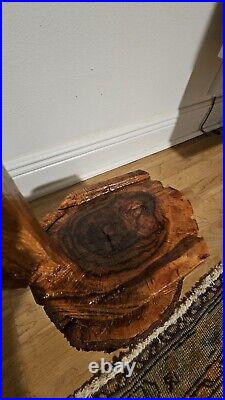 Chainsaw Carved Pelican, Storm Recovered Live Oak