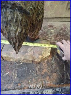 Chainsaw Carved Prehistoric Terror Bird Dinosaur Art Statue Sculpture Carving