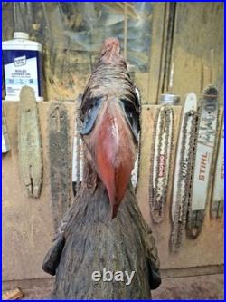 Chainsaw Carved Prehistoric Terror Bird Dinosaur Art Statue Sculpture Carving