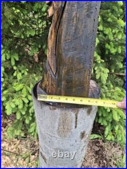Chainsaw Carved Witch Wood Carving Creepy Goth Halloween Horror Folk Art