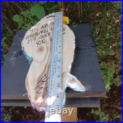 Chainsaw Carving Eagle Multicolor Eagle Colorful Rustic Art Handmade Wood Carvin