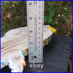 Chainsaw Carving Eagle Multicolor Eagle Colorful Rustic Art Handmade Wood Carvin