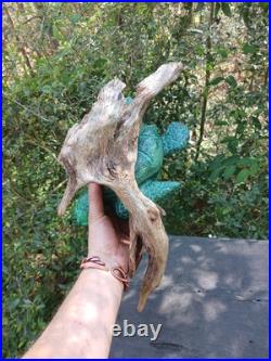 Chainsaw Carving Sea Turtle Wood Carving Turtles Sculptures Rustic Art Cypress Chainsaw Carving Sea Turtle Wood Carving Turtles Sculptures Rustic Art Cypress