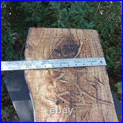 Chainsaw Carving Texas Flag Battle Flag Patriotic Rustic Art Oak Guns Bullets