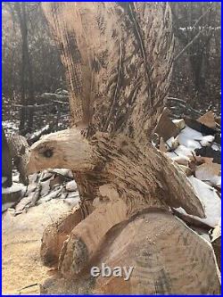 Chainsaw carved eagle wood