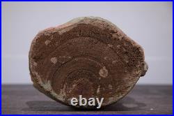 Chinese Old Wood Carved Painted Exquisite Long Eyebrow Arhat Statue 7989