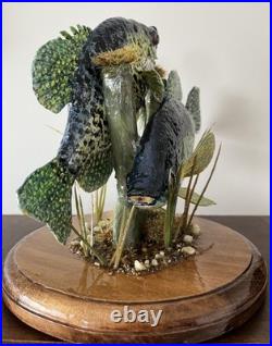 Crappie, pan fish, black crappie, frshwater fish