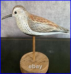 Dave Rhodes 2002 Shorebird, Redbacked Sandpiper Decoy Hand Carved & Painted