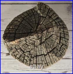 Douglas Pope Signed Hand Carved Wood Puzzle Box Valet Organizer Studio Art