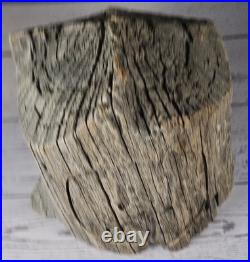 Douglas Pope Signed Hand Carved Wood Puzzle Box Valet Organizer Studio Art