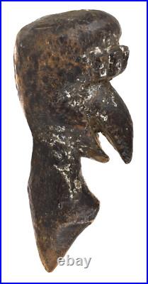 Fang Reliquary Head Gabon