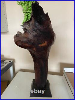 Fertilidad del Tiempo Hand-Carved Wood Sculpture by Tony Jimenez Pick Up in AZ