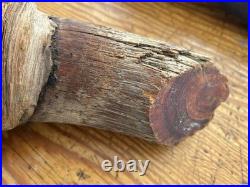 Folk Art Dale Hallet 1987 Knothead Wood Carving Signed Engraved Paw