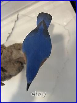 Folk Artist PHILLIP E. BROWN NORTH CAROLINA CARVED PAINTED Blue Birds Driftwood