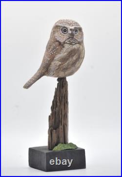 Full Size Saw- Whet Owl Wood Carving /Sculpture