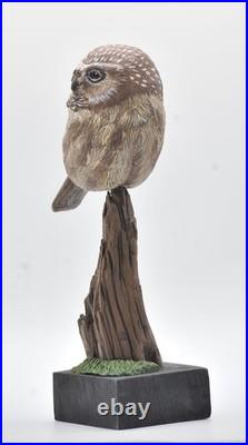Full Size Saw- Whet Owl Wood Carving /Sculpture
