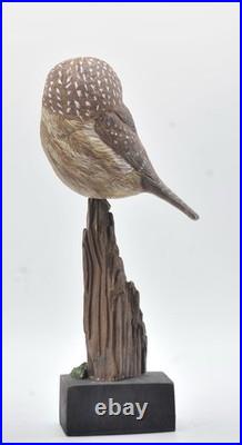 Full Size Saw- Whet Owl Wood Carving /Sculpture