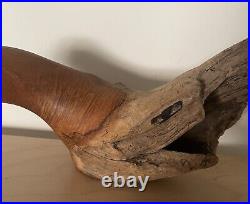 GLENN DOBRUSKY Original Signed Chainsaw Carved Wood Shorebird Fine Art Sculpture