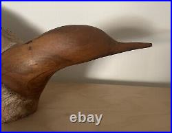 GLENN DOBRUSKY Original Signed Chainsaw Carved Wood Shorebird Fine Art Sculpture