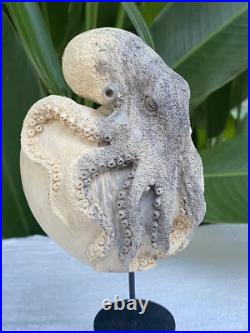 Gorgeous Octopus Heart, Caved Octopus on Heart, carved Octopus Love Sculpture Gorgeous Octopus Heart, Caved Octopus on Heart, carved Octopus Love Sculpture