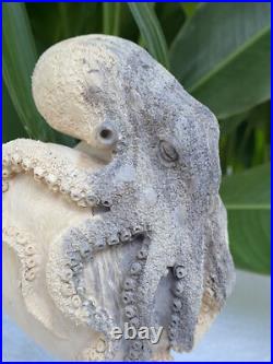 Gorgeous Octopus Heart, Caved Octopus on Heart, carved Octopus Love Sculpture Gorgeous Octopus Heart, Caved Octopus on Heart, carved Octopus Love Sculpture