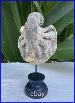 Gorgeous Octopus Heart, Caved Octopus on Heart, carved Octopus Love Sculpture Gorgeous Octopus Heart, Caved Octopus on Heart, carved Octopus Love Sculpture