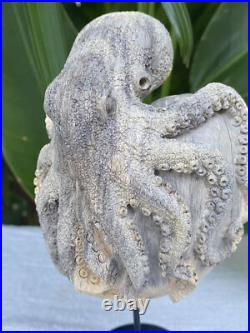 Gorgeous Octopus Heart, Caved Octopus on Heart, carved Octopus Love Sculpture Gorgeous Octopus Heart, Caved Octopus on Heart, carved Octopus Love Sculpture