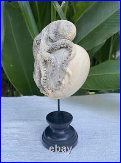 Gorgeous Octopus Heart, Caved Octopus on Heart, carved Octopus Love Sculpture Gorgeous Octopus Heart, Caved Octopus on Heart, carved Octopus Love Sculpture