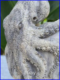 Gorgeous Octopus Heart, Caved Octopus on Heart, carved Octopus Love Sculpture Gorgeous Octopus Heart, Caved Octopus on Heart, carved Octopus Love Sculpture