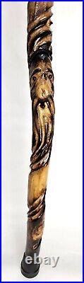 Hand Carved Drift Wood Spirit Walking Stick 52 in! Beautiful DoubleTrouble