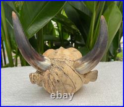 Hand Carved Laughing Ugly Monster with genuine Cow Horns Carved celukuk Figure