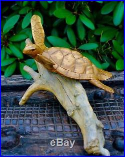 Hand Carved Sea Turtle statue Wood Carving Sculpture Natural Root Bali Art