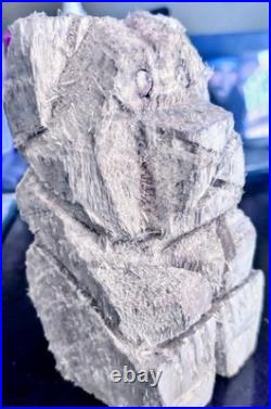 Hand Carved Wood Teddy Bear Done With A Mini Chainsaw By Artist Evan Kasle