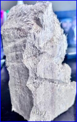 Hand Carved Wood Teddy Bear Done With A Mini Chainsaw By Artist Evan Kasle