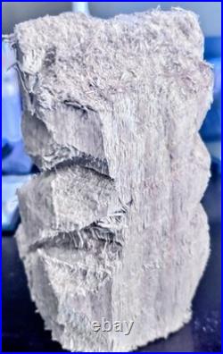 Hand Carved Wood Teddy Bear Done With A Mini Chainsaw By Artist Evan Kasle