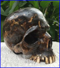 Hand Carved Wooden Sculpture Real Size Replica Human Wood Skull Decor Handmade