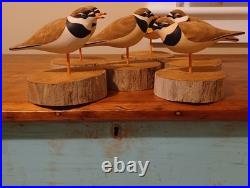 Hand Made Ringed Plovers Wood Shorebird Sculpture Signed By Artist 6 Total
