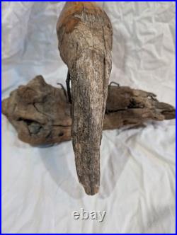 Hand-carved Driftwood Sculpture Bird on Steel Legs Branded JPM James P. Morton X2