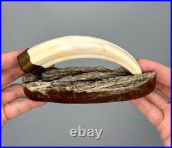 Hand-carved Scrimshaw-style Rhino Tusk By Luciana Masina, 1998, South Africa