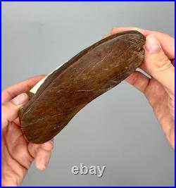 Hand-carved Scrimshaw-style Rhino Tusk By Luciana Masina, 1998, South Africa