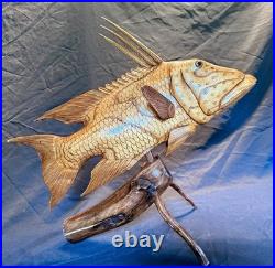 Highly Detailed Hog Fish Wood Carving on Driftwood Base Hand Made, Fine Finished