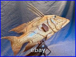 Highly Detailed Hog Fish Wood Carving on Driftwood Base Hand Made, Fine Finished