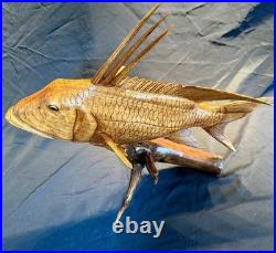 Highly Detailed Hog Fish Wood Carving on Driftwood Base Hand Made, Fine Finished