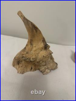 Horned Watcher -Burl/Manitoba Maple-Canadian Artisan-Jamie Russell-8.5x9x6.5